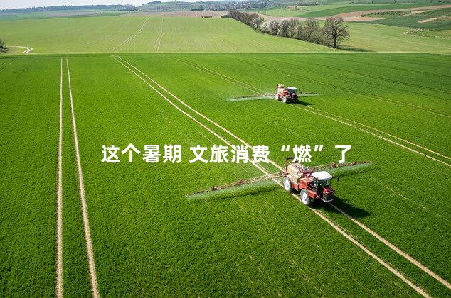 这个暑期 文旅消费“燃”了